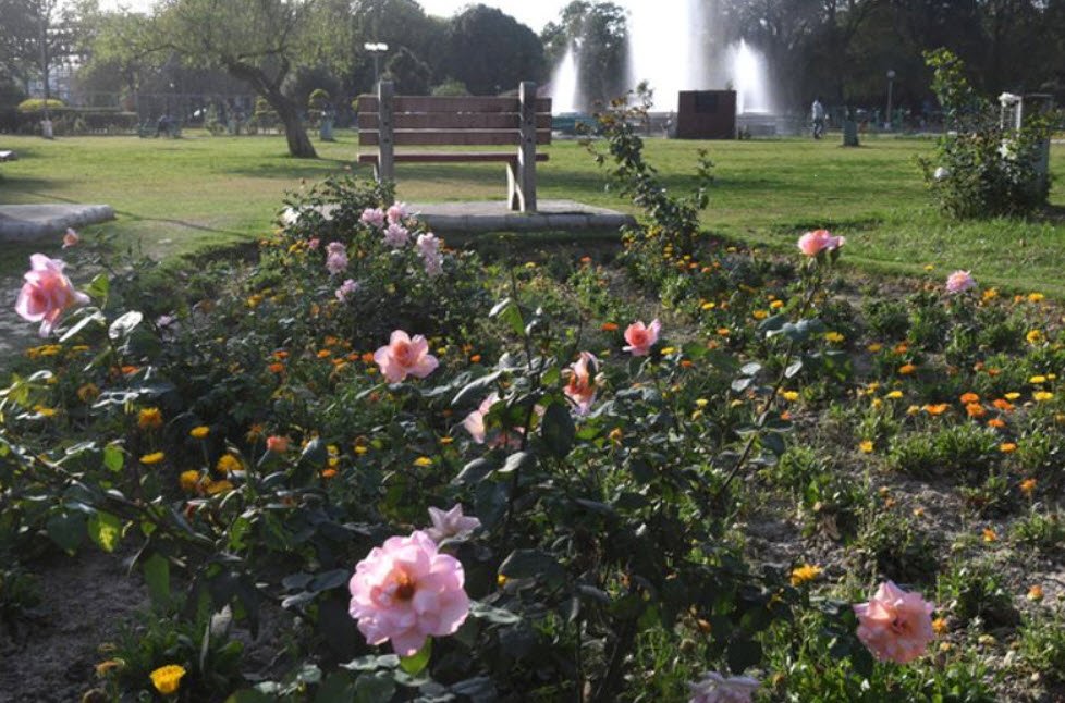 Rose Garden (Phase 3B-1), Sahibzada Ajit Singh Nagar (Mohali), Punjab - Vushii.com